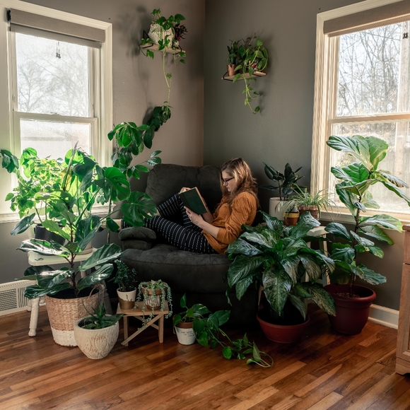 Meet your Posher, Sadie - Picture 4 of 4